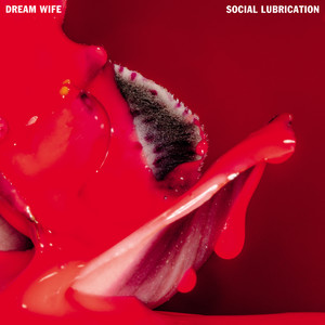 Social Lubrication (Explicit)