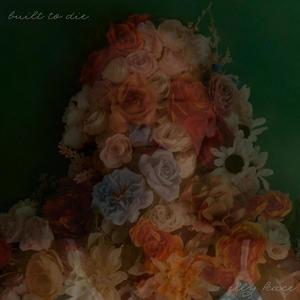 built to die (Acoustic)