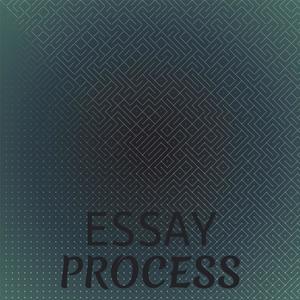 Essay Process