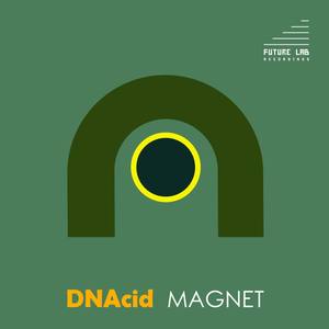 Magnet