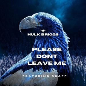 Please dont leave me (feat. ROAFF)