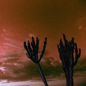 Belligerent (A piece by Donnatello18)