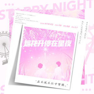 烟花升停在星夜