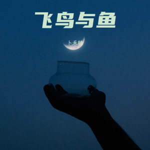 飞鸟与鱼-卜禾糖