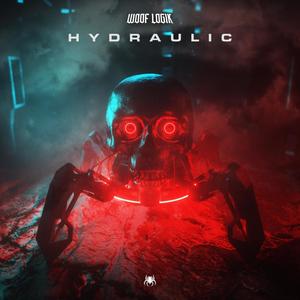 Hydraulic