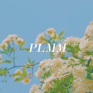 PLMM