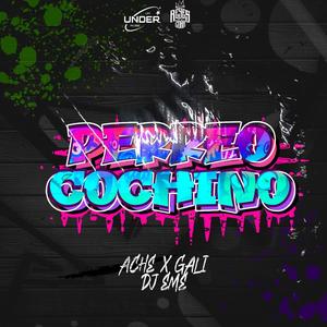 Perreo Cochino (feat. Ache & El Gali)