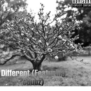 Different (feat. Cdubz) [Explicit]