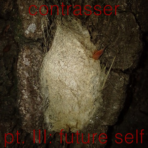 contrasser, pt. III: future self