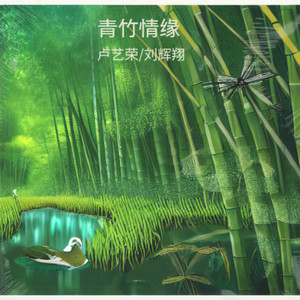 青竹情缘 (男女对唱版)