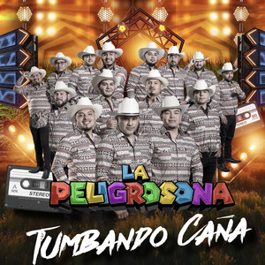 El Ayudante/Esta De Parranda El Jefe (En Vivo)