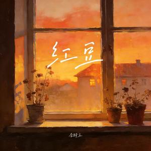 红豆