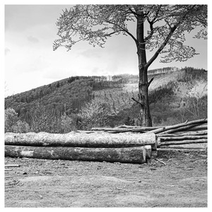 Vlčí oči (Radio Edit)