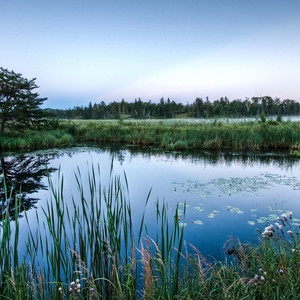 烟雨人间 (心跳版)