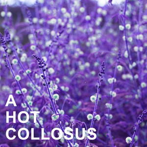 A Hot Collosus