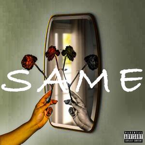 Same (Explicit)