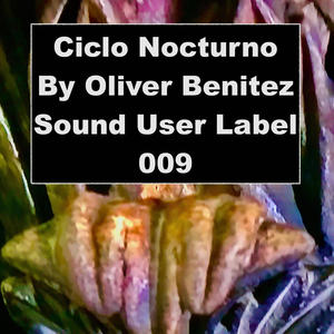 Ciclo Nocturno