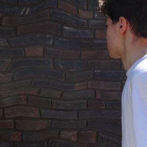 Feedback/Interlude