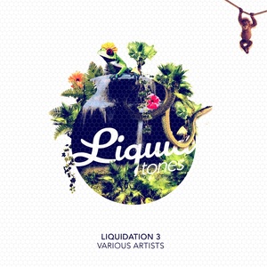 Liquidation, Vol. 3 (Explicit)