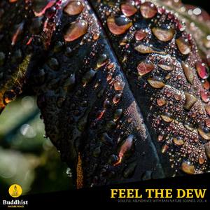 Feel the Dew - Soulful Abundance with Rain Nature Sounds, Vol. 4