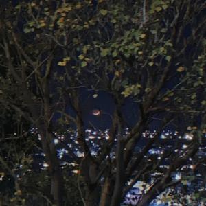 before the rain falls