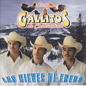 Tu amor y mi agonia