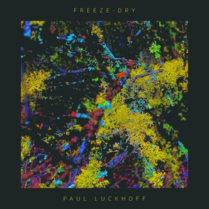 Freeze-Dry