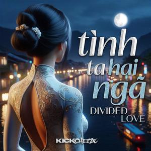 Tình Ta Hai Ngã (Divided Love) - Hard Vina