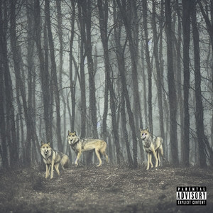 Better Snowfall (feat. Austin Post) (Explicit)