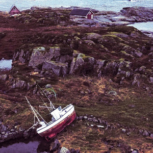 Till the Leaves Turn Brown