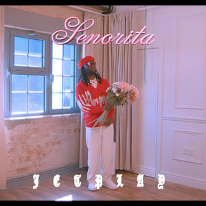 Senorita (Acapella Version)