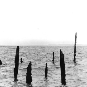 Before The Bitter Wind (凛冽的寒风袭来前)