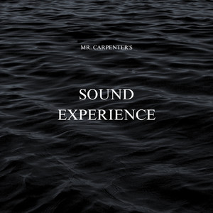 Sound Experience