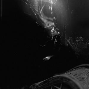 the last song i made before my computer crashed