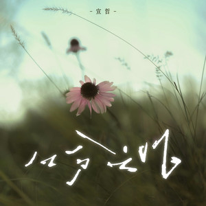 几分之几 (我算什么)