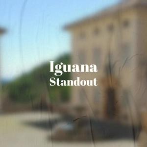 Iguana Standout