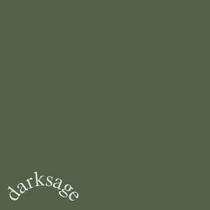 darksage