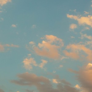 An Epic Plagiarism II