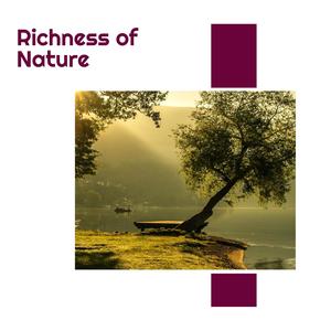 Growing Forest Fire Noise