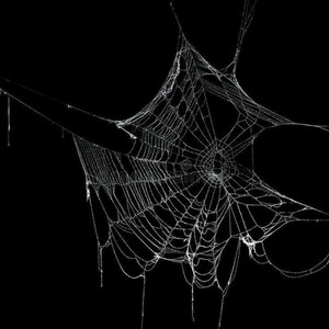 Spider (Explicit)