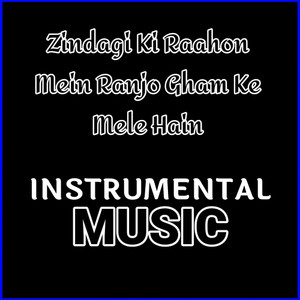Zindagi Ki Raahon Mein Ranjo Gham Ke Mele Hain