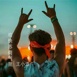 快手欢快气氛车载嗨曲 (Remix)