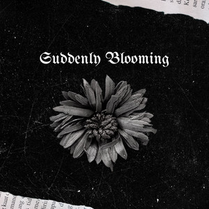 Suddenly Blooming