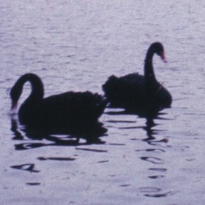 Helles Licht/ Dunkler Raum