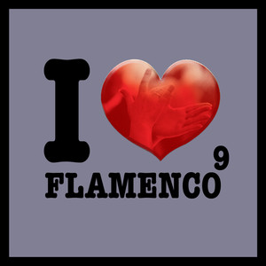 I Love Flamenco Vol.9