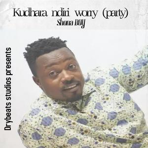 Kudhara ndiri worry(Party)