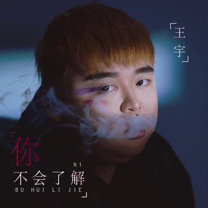 你不会了解封面