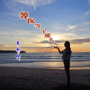 等你等了那么久 (Demo)