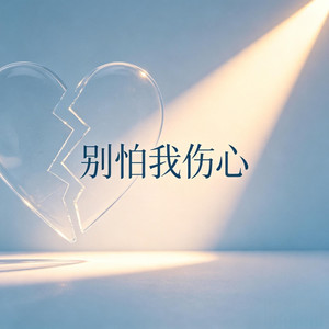 别怕我伤心 DJ (节奏版)
