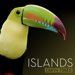 Earth Tones: Islands